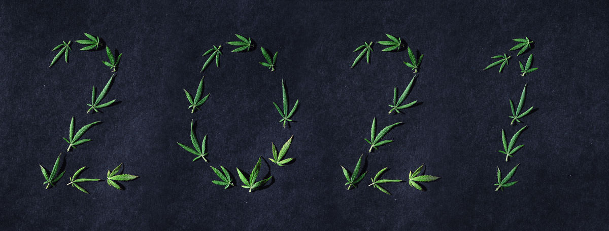 pattern of cannabis leaves in the form of numbers HGRUEY8